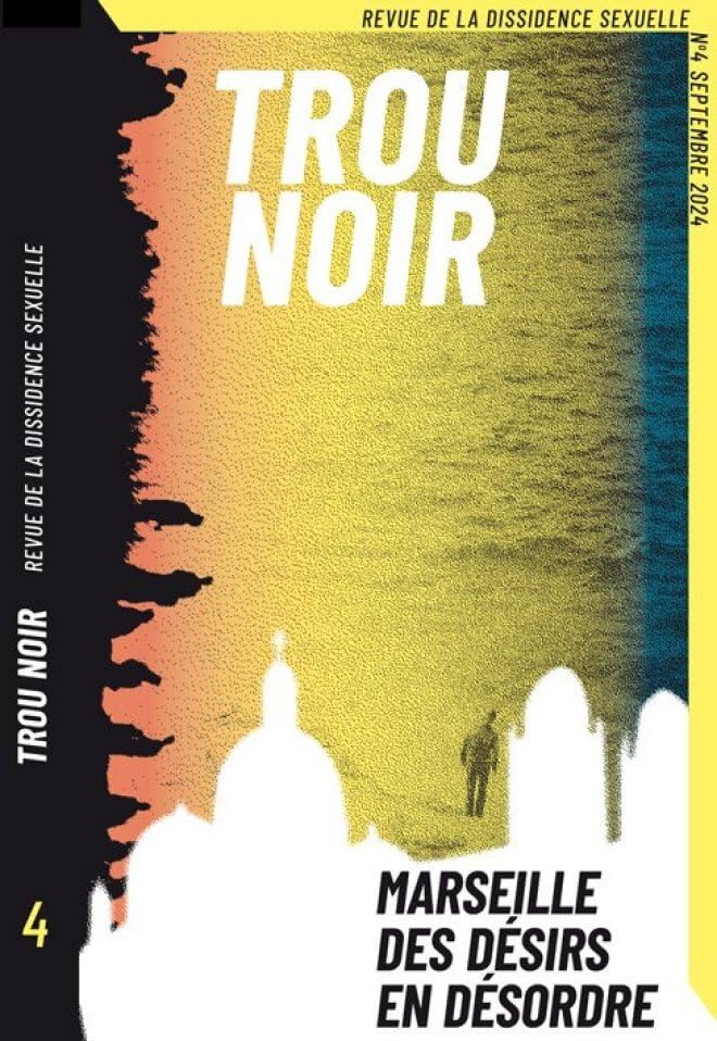 TROU NOIR 4 book cover
