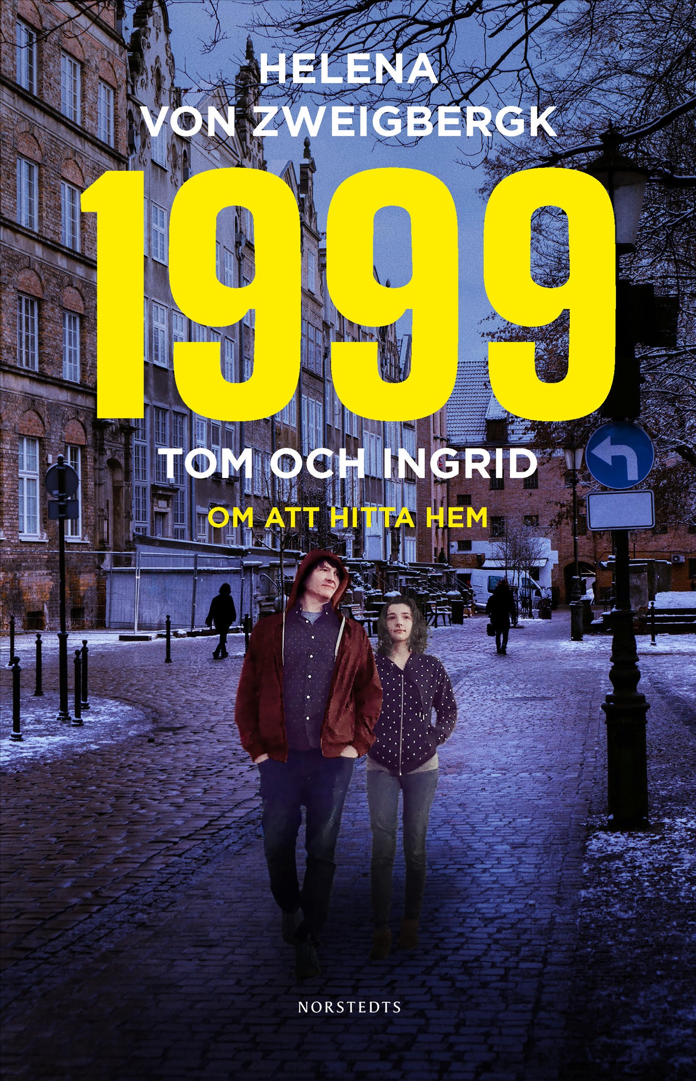 Drömmar om frihet - ett generationsdrama book cover 2