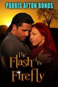 The Flash of the Firefly book cover