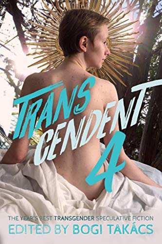 Transcendent 4 book cover