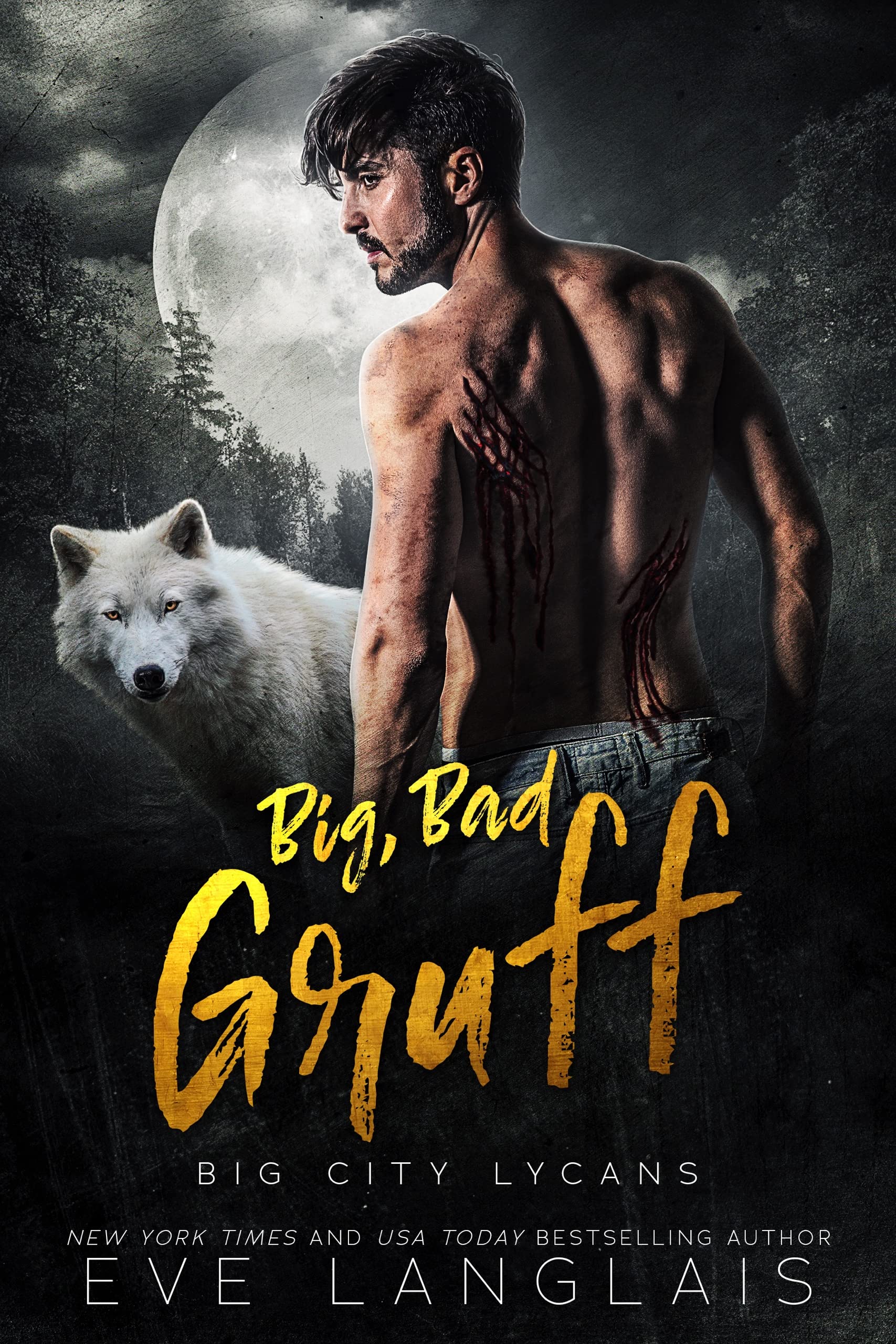 Big City Lycans book cover 2