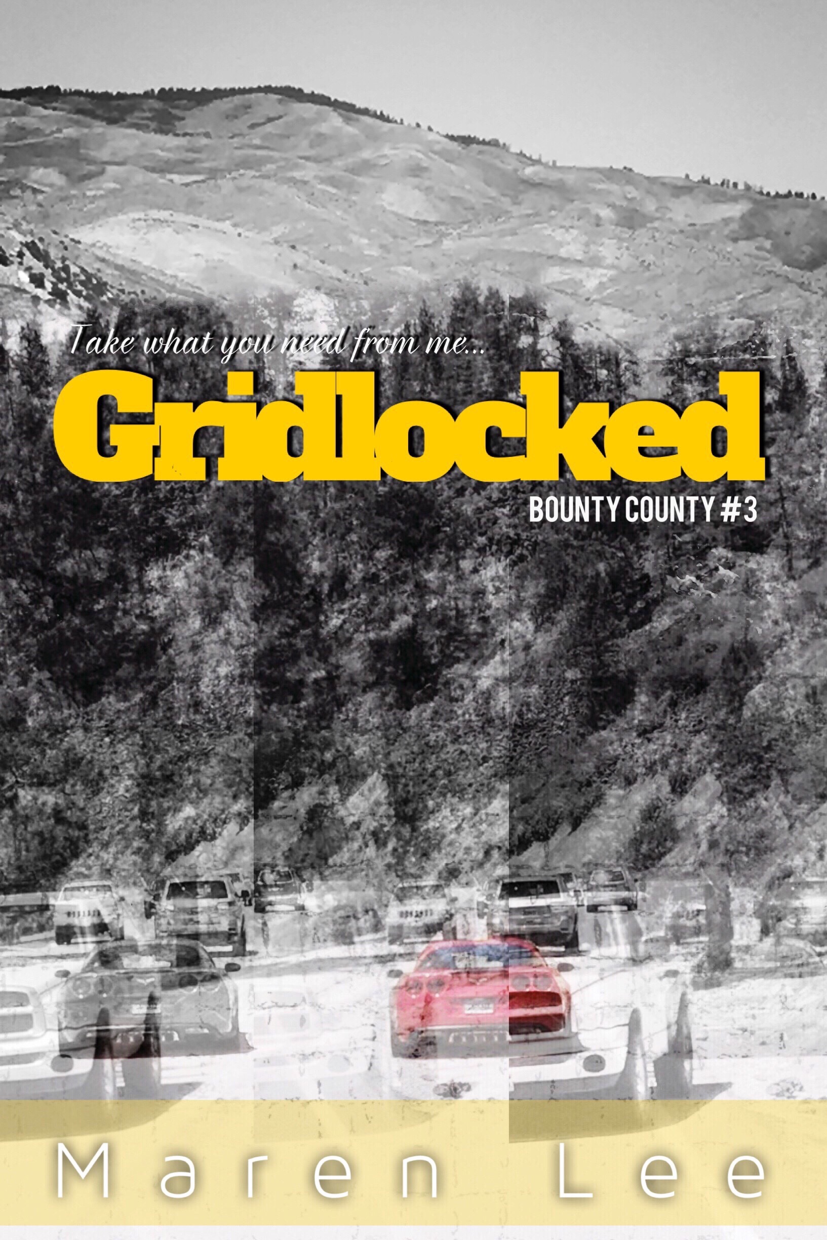 Bounty County book cover 3