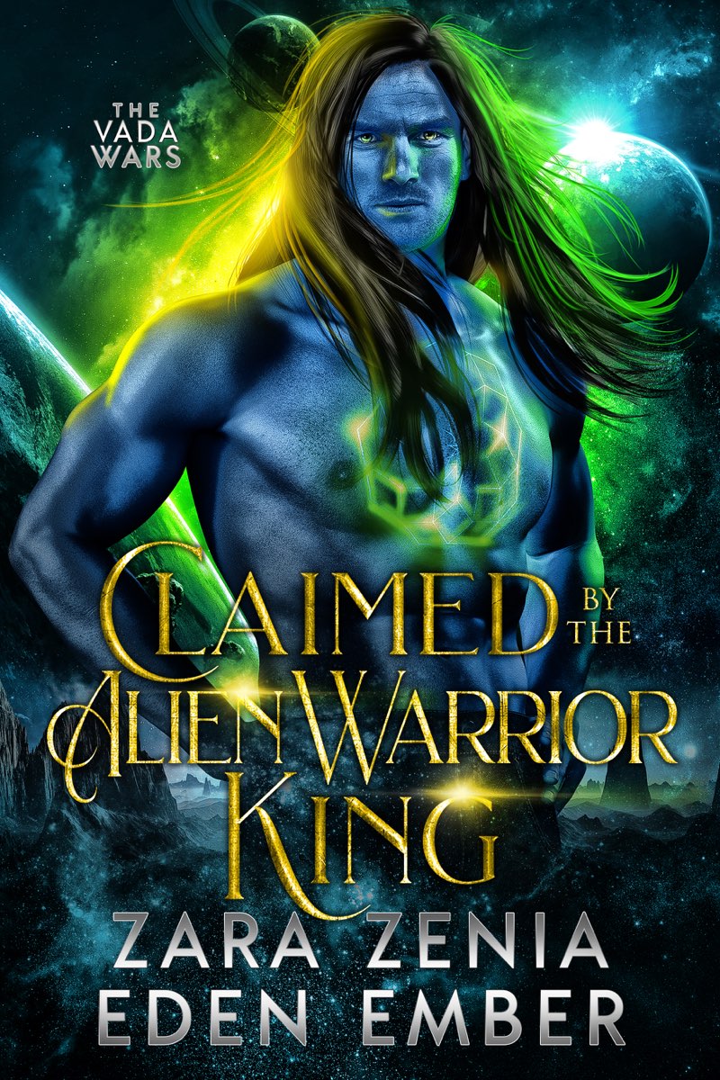 The Vada Wars book cover 1