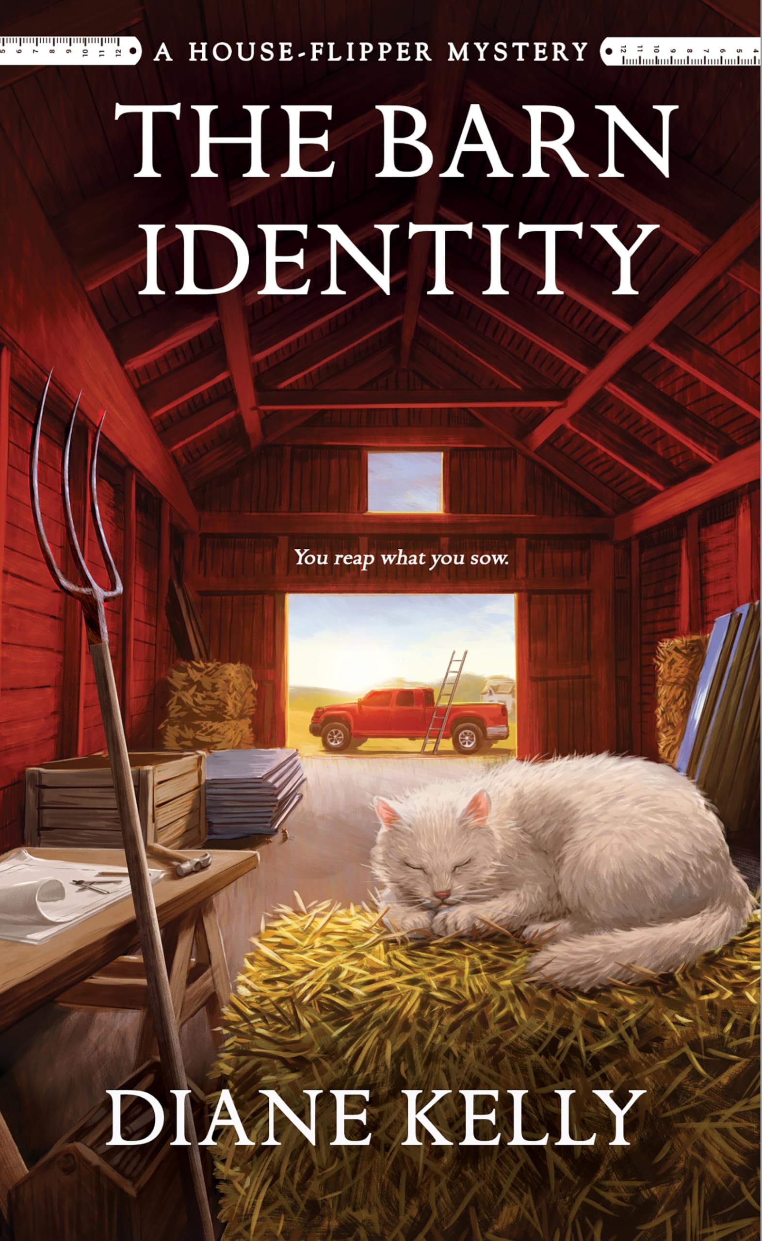 The Barn Identity book cover