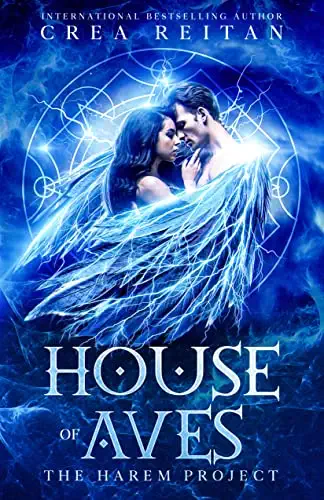 The Harem Project book cover 2