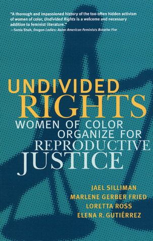 Undivided Rights book cover