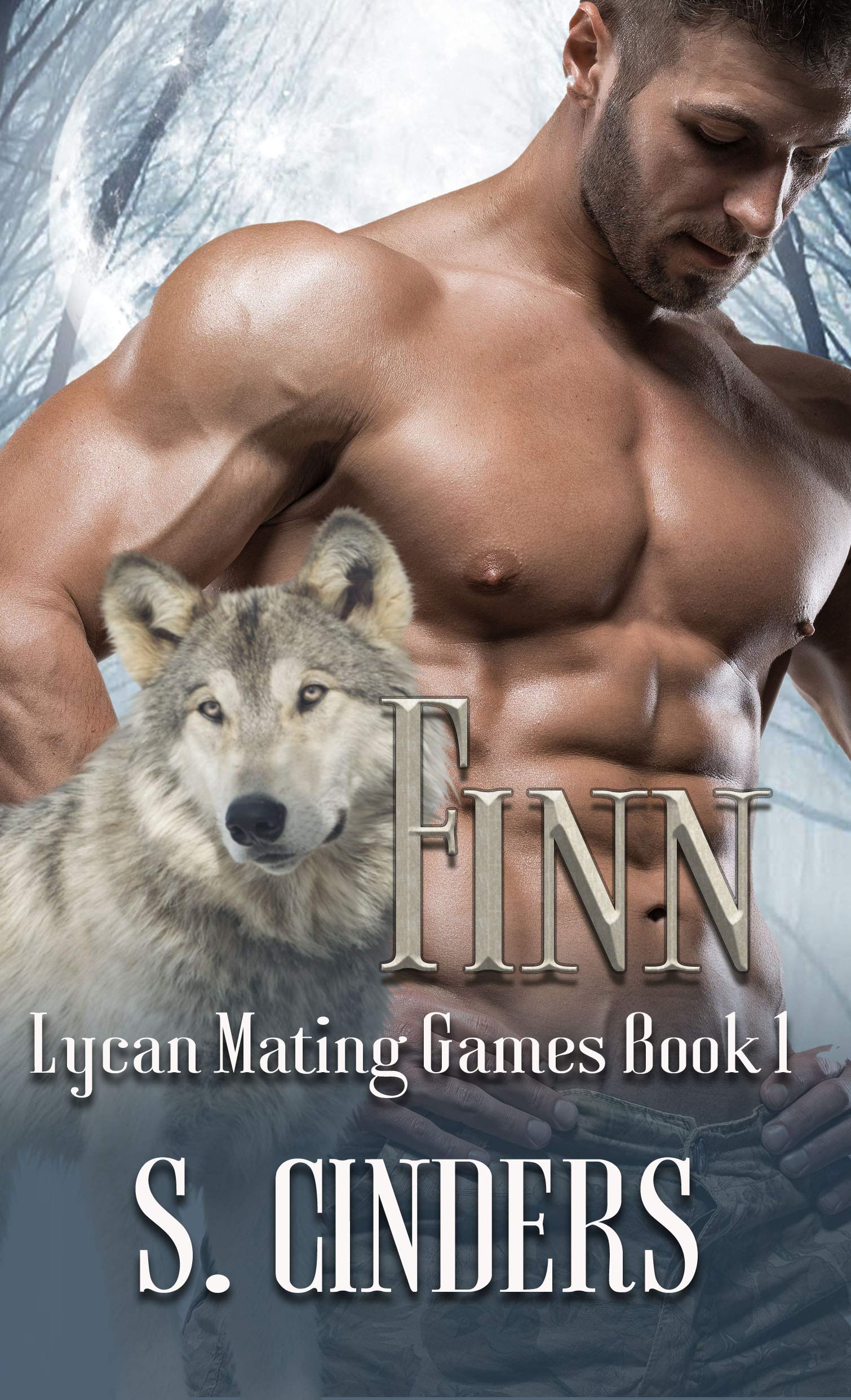 Finn book cover