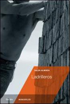 Brickmakers book cover