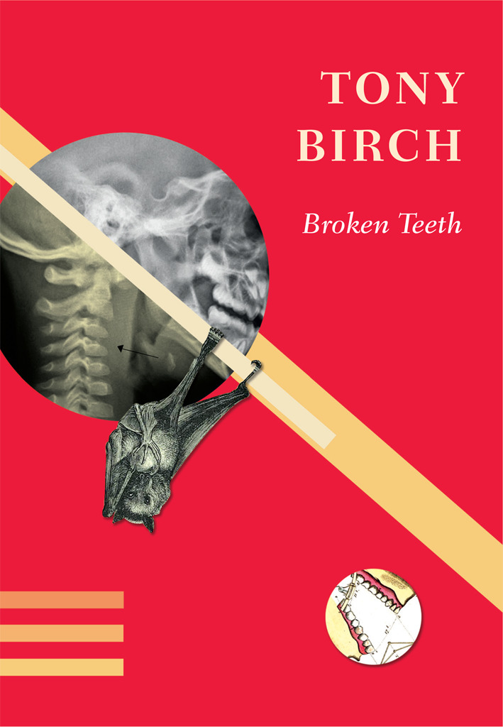 Broken Teeth book cover
