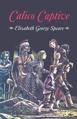 Calico Captive book cover
