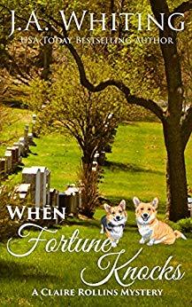 When Fortune Knocks book cover