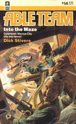 Into the Maze book cover