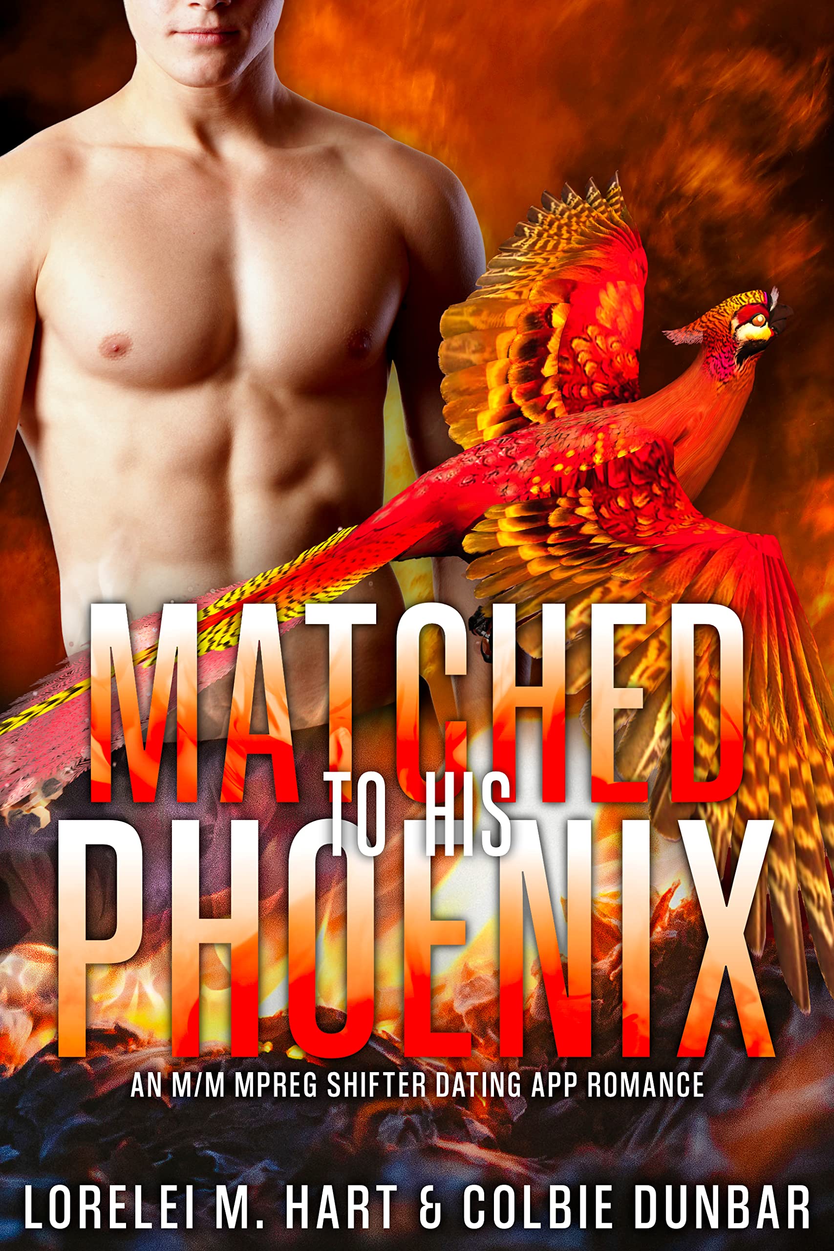 Matched To His Phoenix book cover