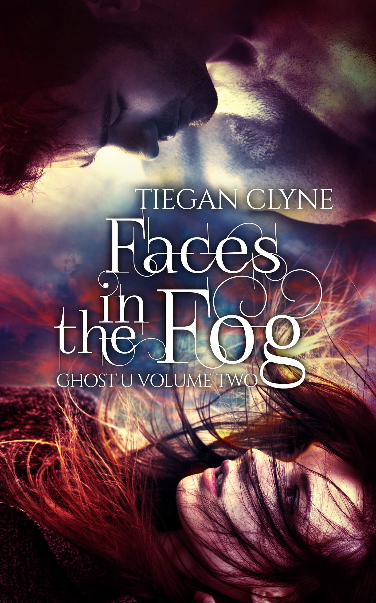 Faces in the Fog book cover