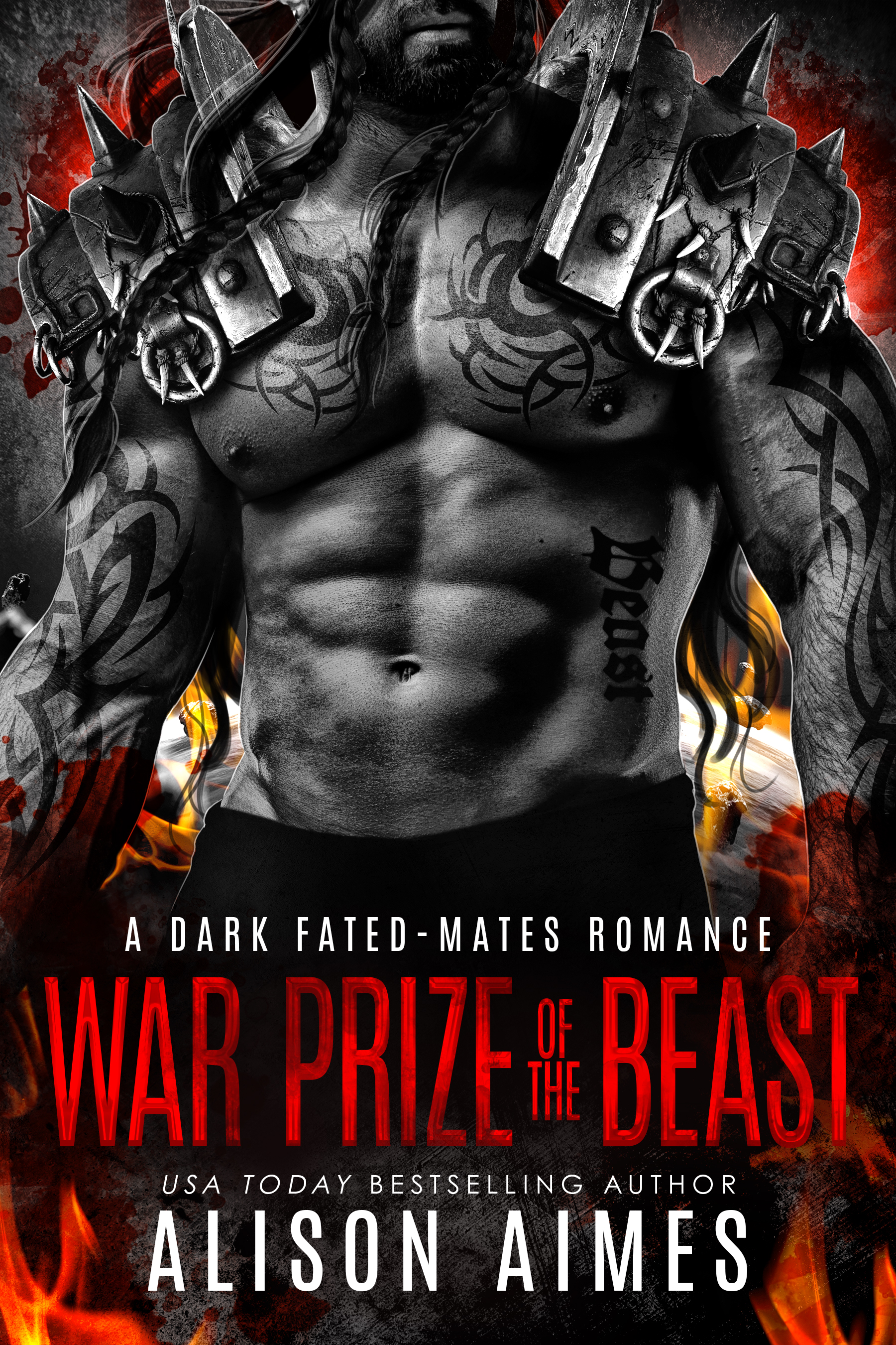 War Prize of the Beast book cover