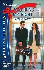 Acquiring Mr. Right book cover