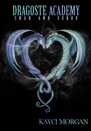 Dragoste Academy book cover 2