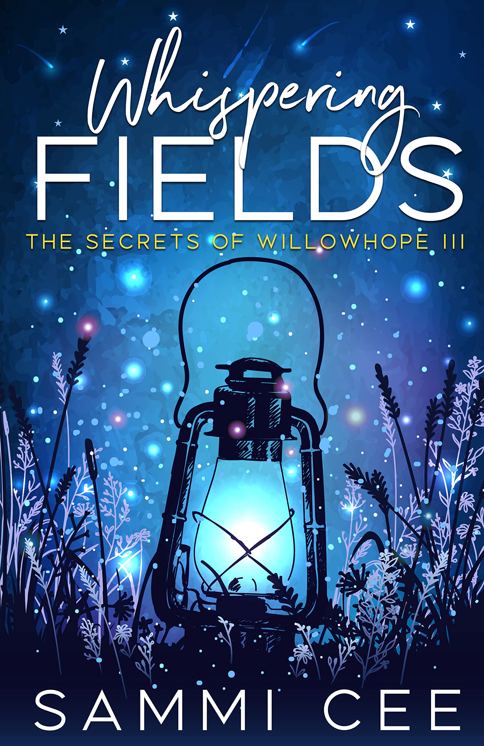 The Secrets of Willowhope book cover 3