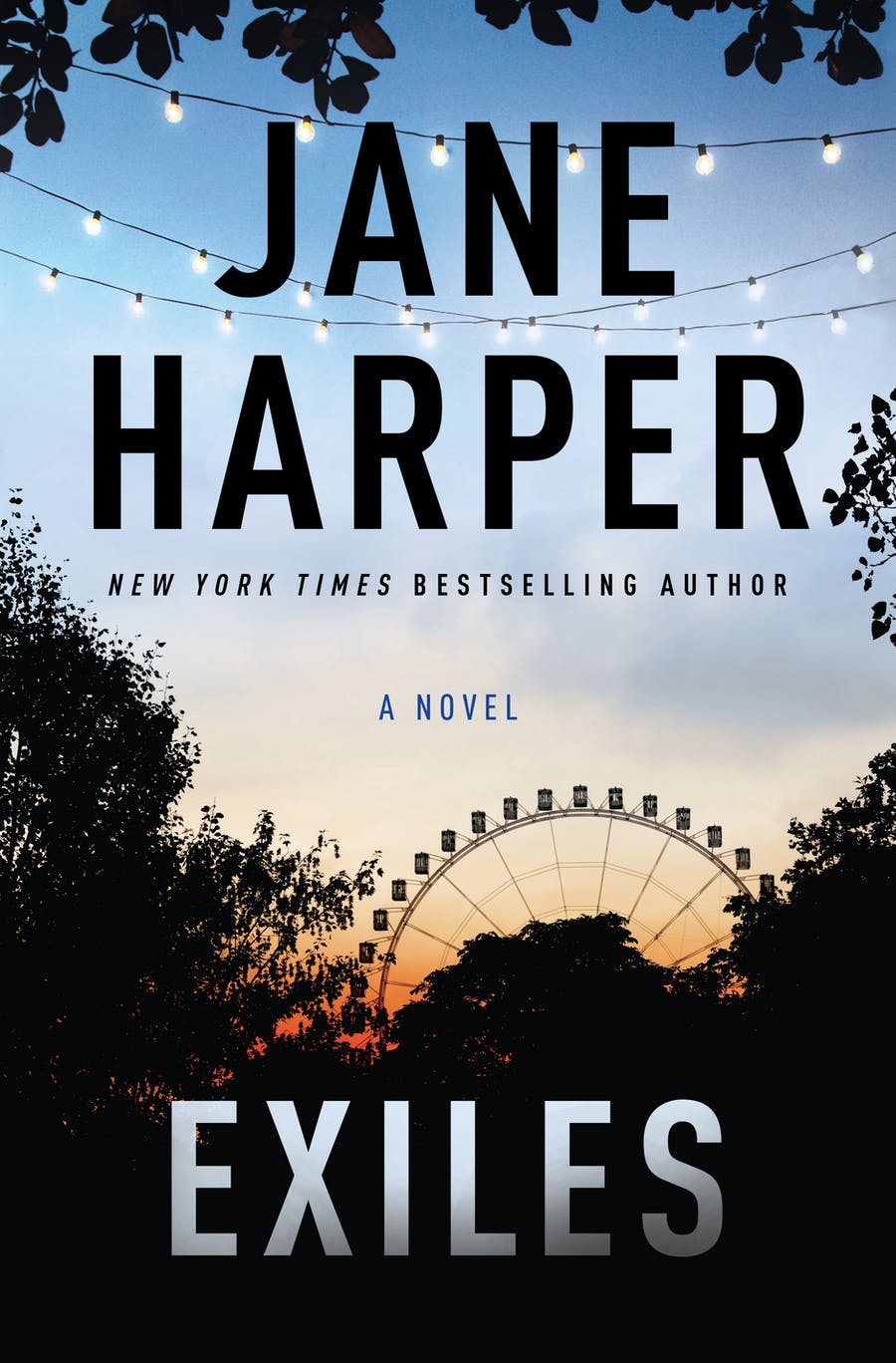Aaron Falk book cover 3