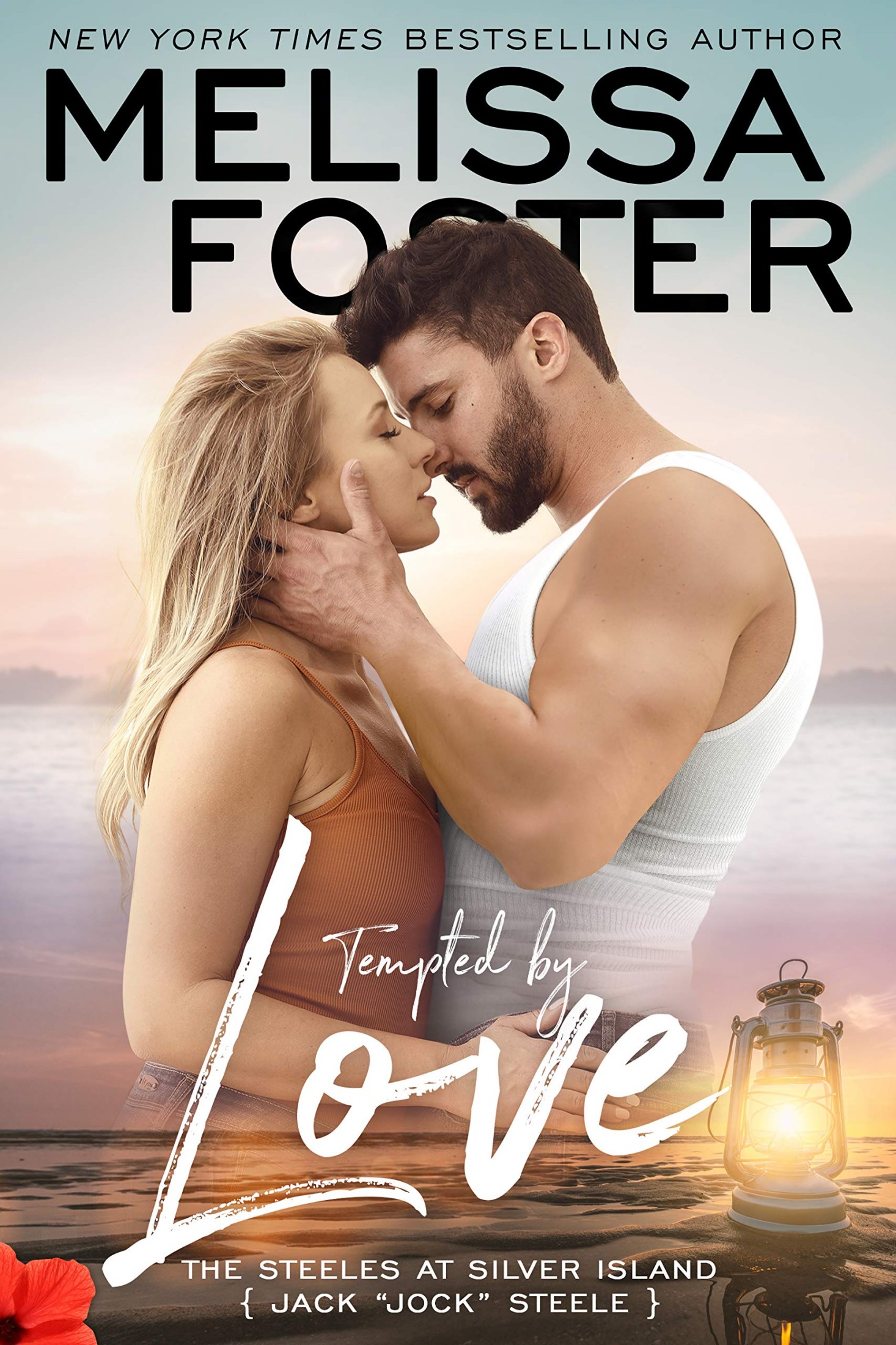 The Steeles at Silver Island book cover 1