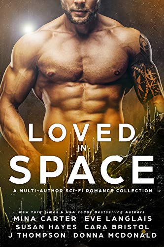 Loved in Space Anthology book cover