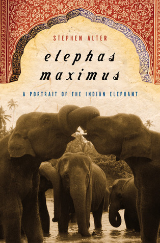 Elephas Maximus book cover