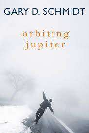 Orbiting Jupiter book cover