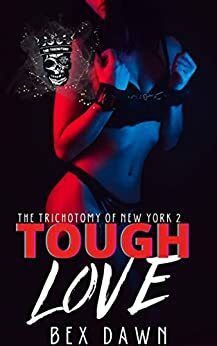 The Trichotomy of New York book cover 2