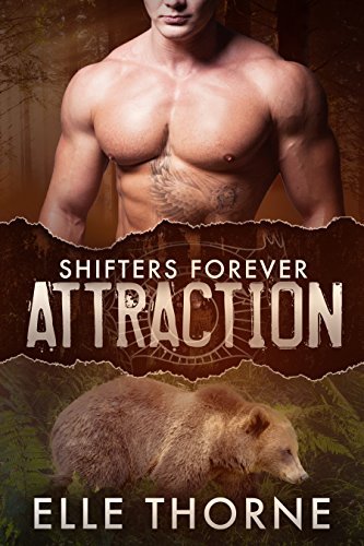 Attraction book cover