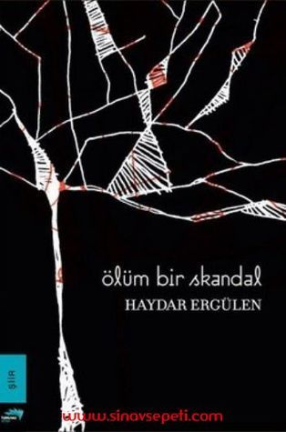 Ölüm Bir Skandal book cover