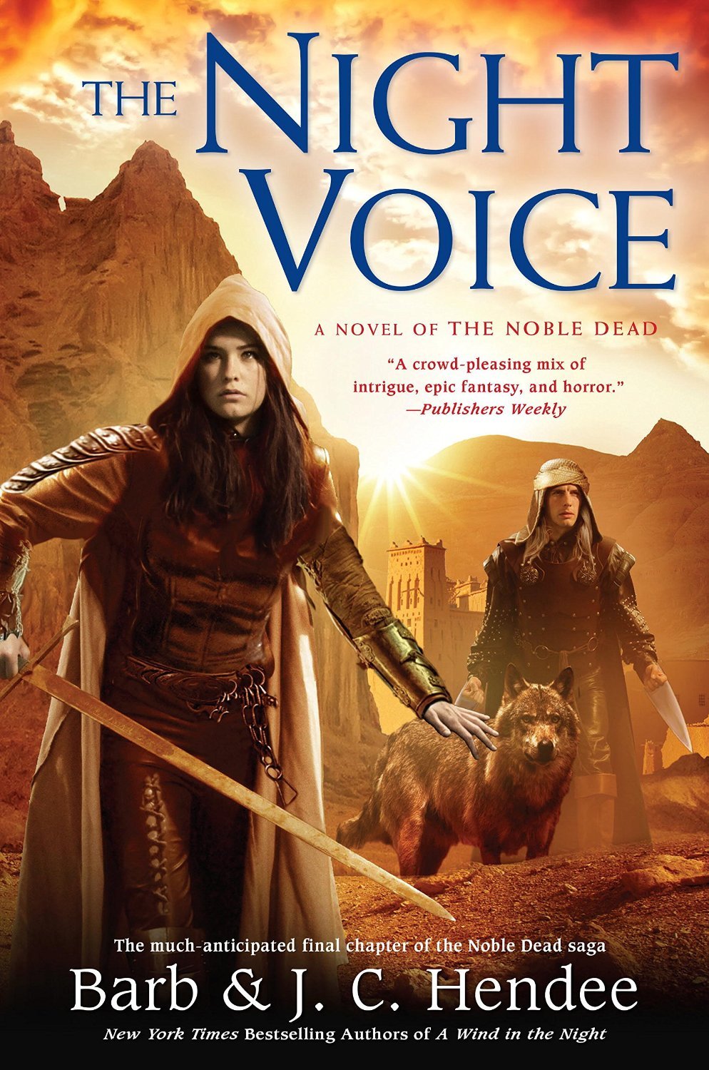The Night Voice book cover