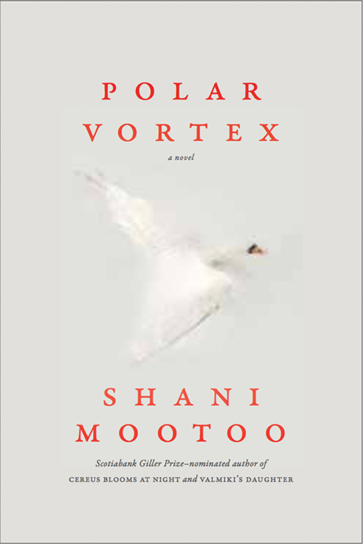 Polar Vortex book cover