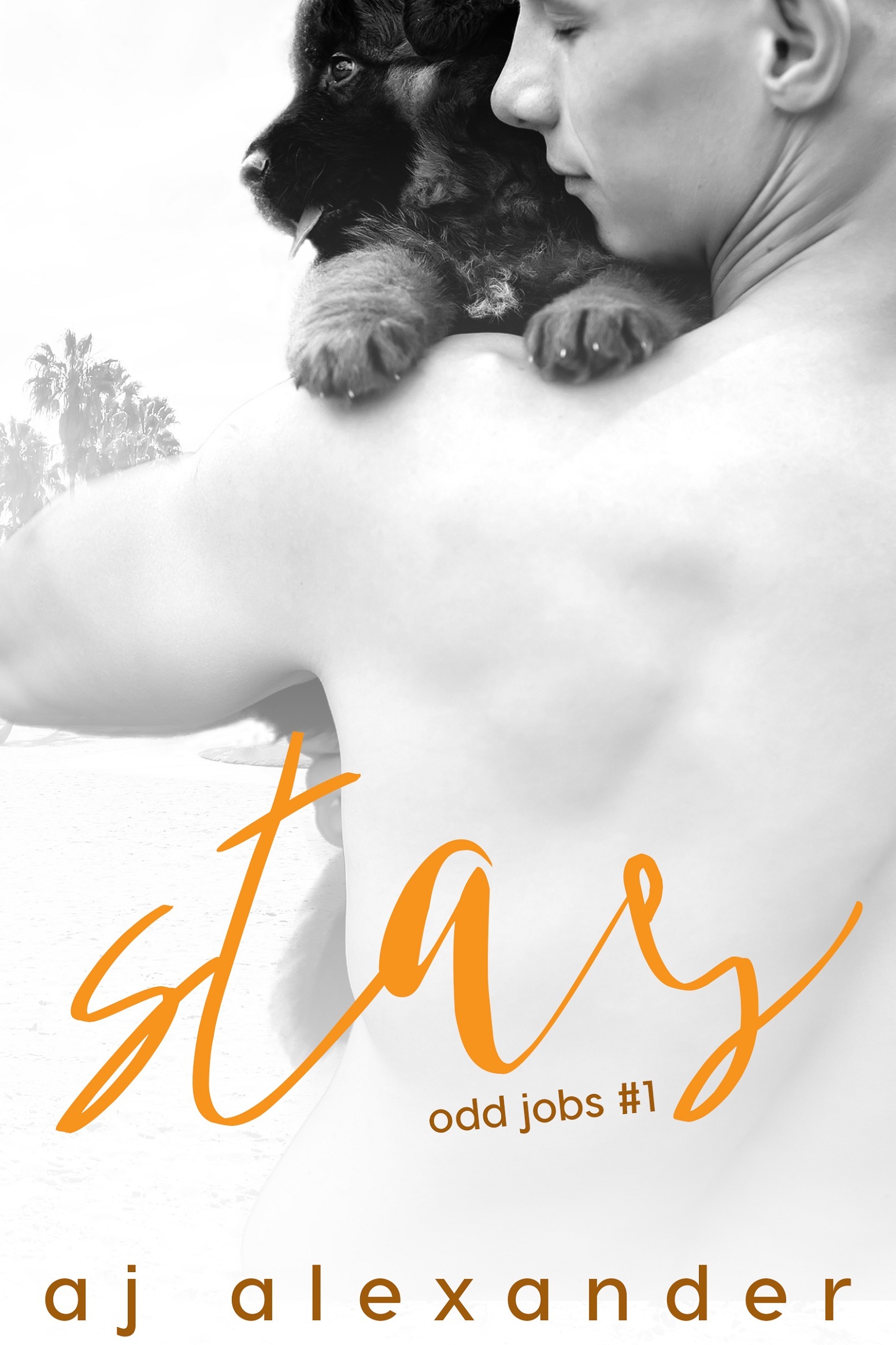 Odd Jobs book cover 1