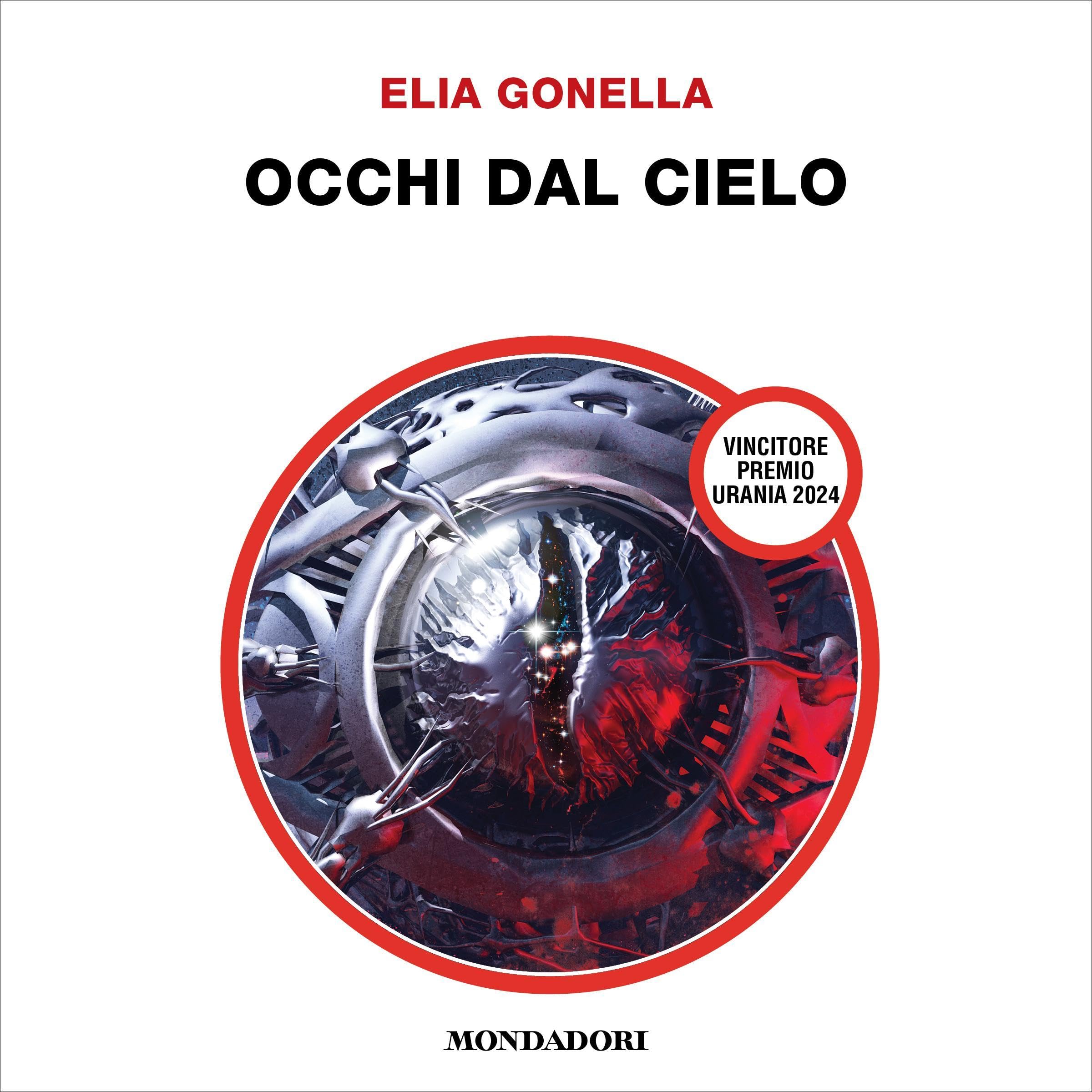 Occhi dal cielo book cover