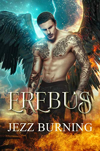 Fire Falls book cover 1