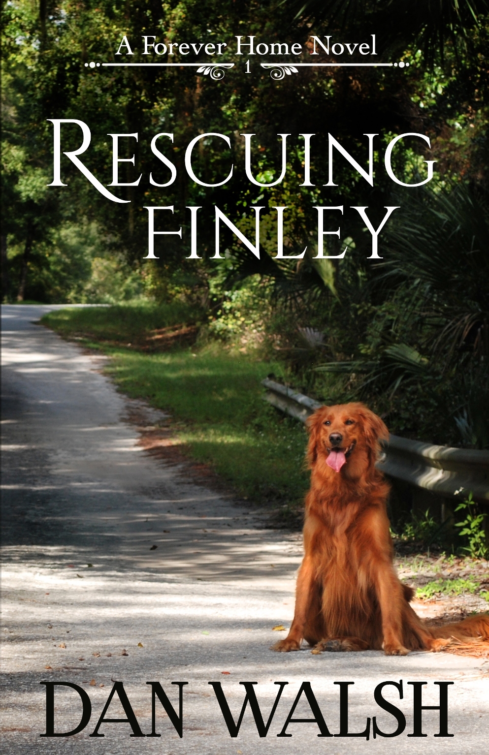 Rescuing Finley book cover