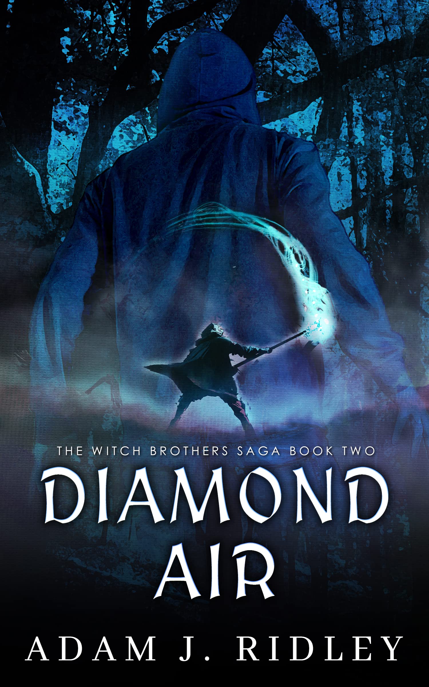 The Witch Brothers Saga book cover 1