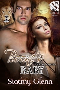 Boone's Baby book cover