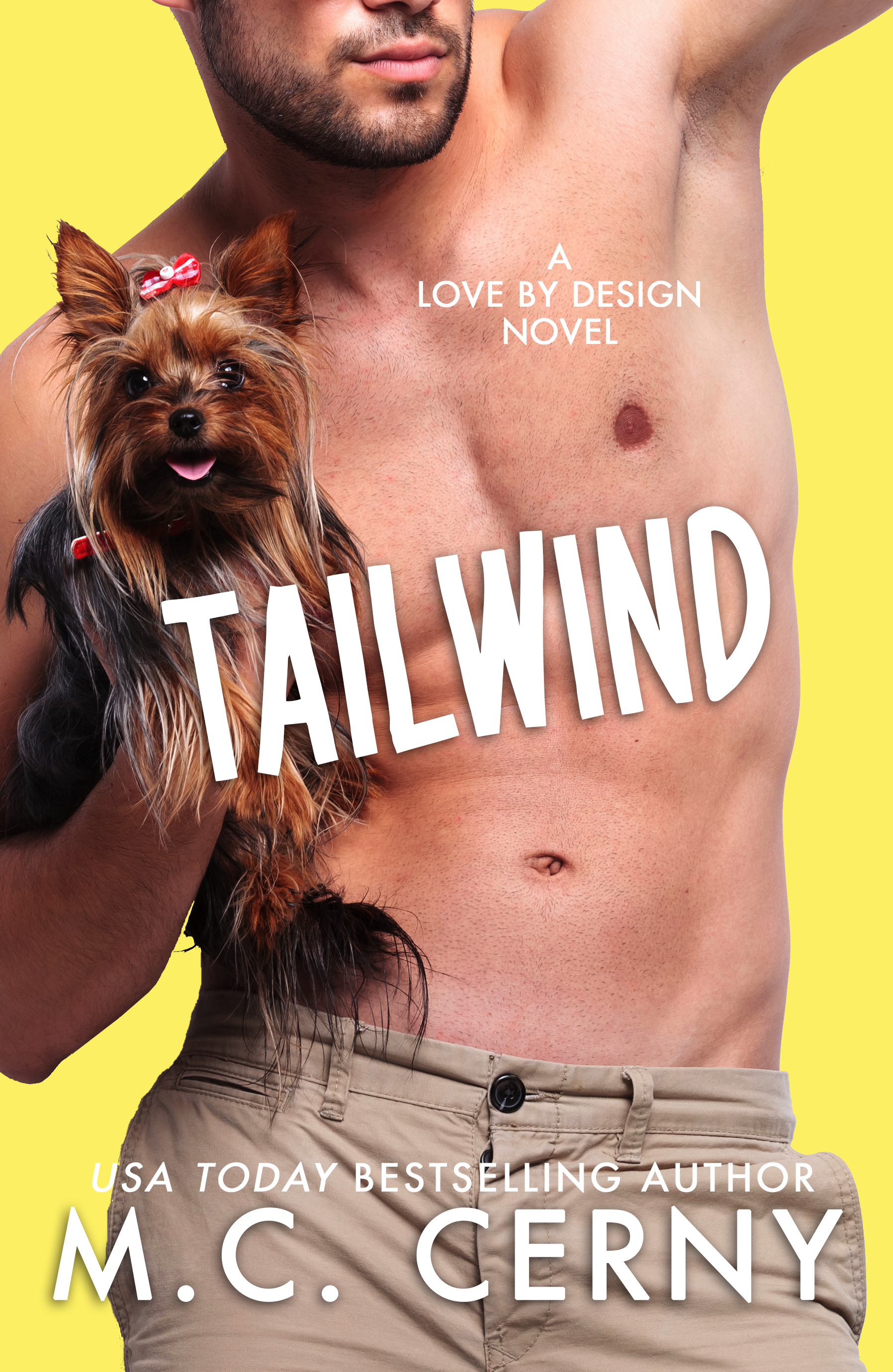 Tailwind book cover