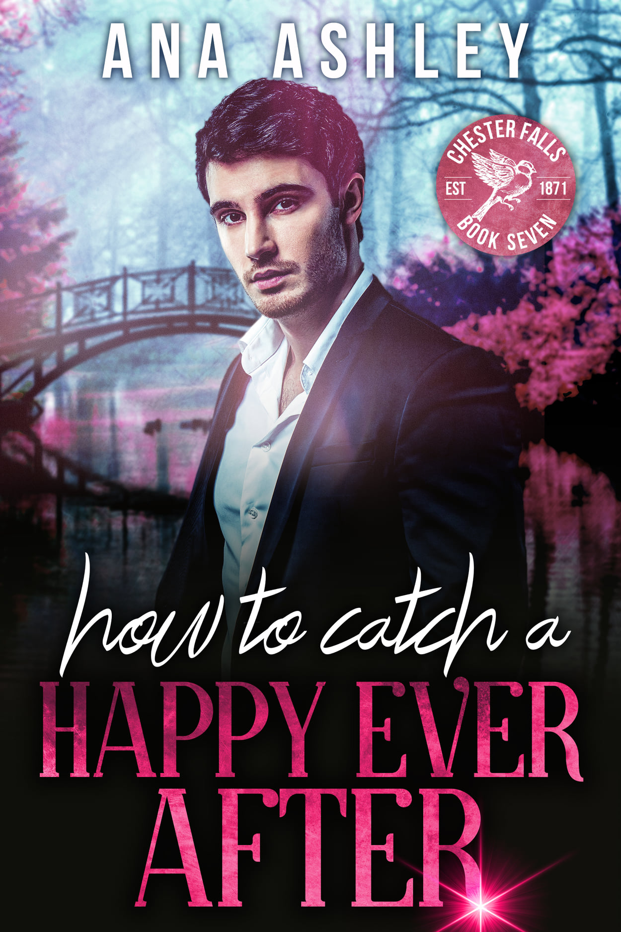 How to Catch a Happy Ever After book cover