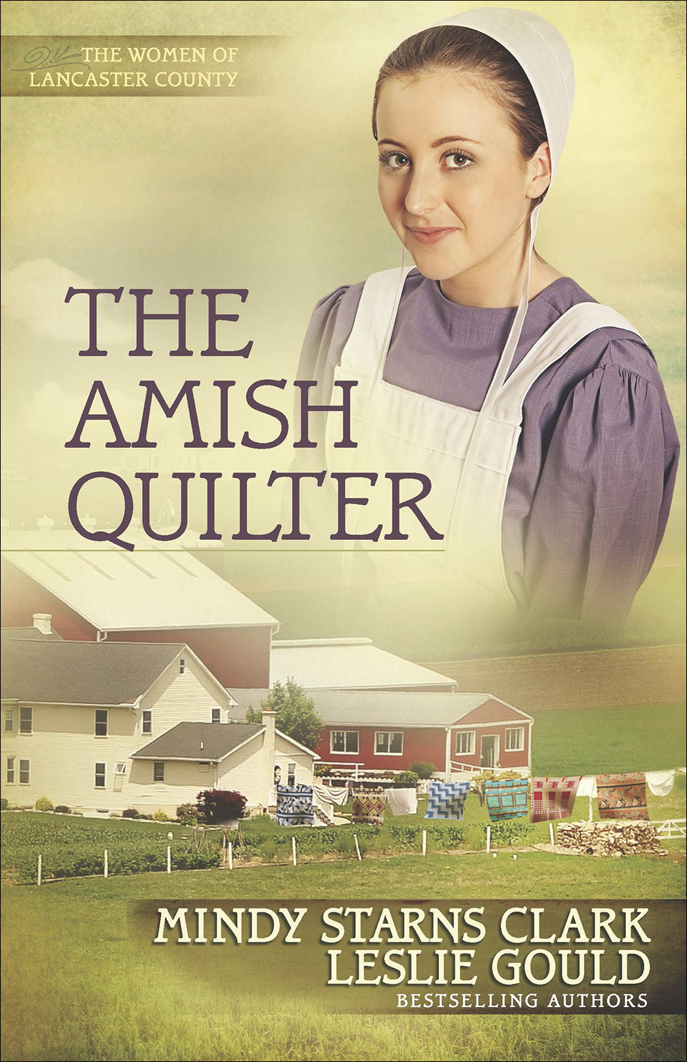 The Amish Quilter (Volume 5) book cover