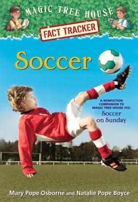 Soccer book cover