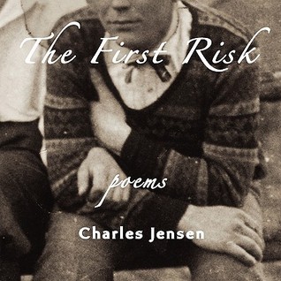 The First Risk book cover