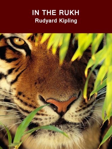 In the Rukh book cover