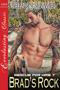 Brad's Rock book cover