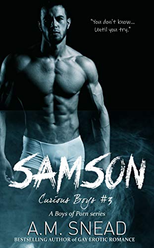 Samson book cover