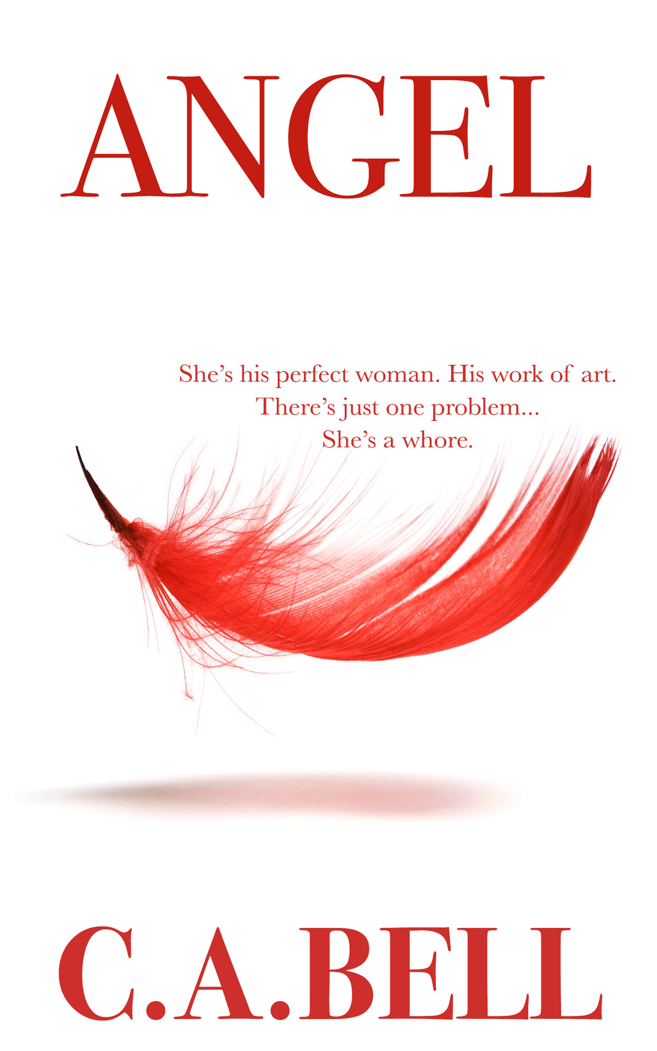Angel book cover