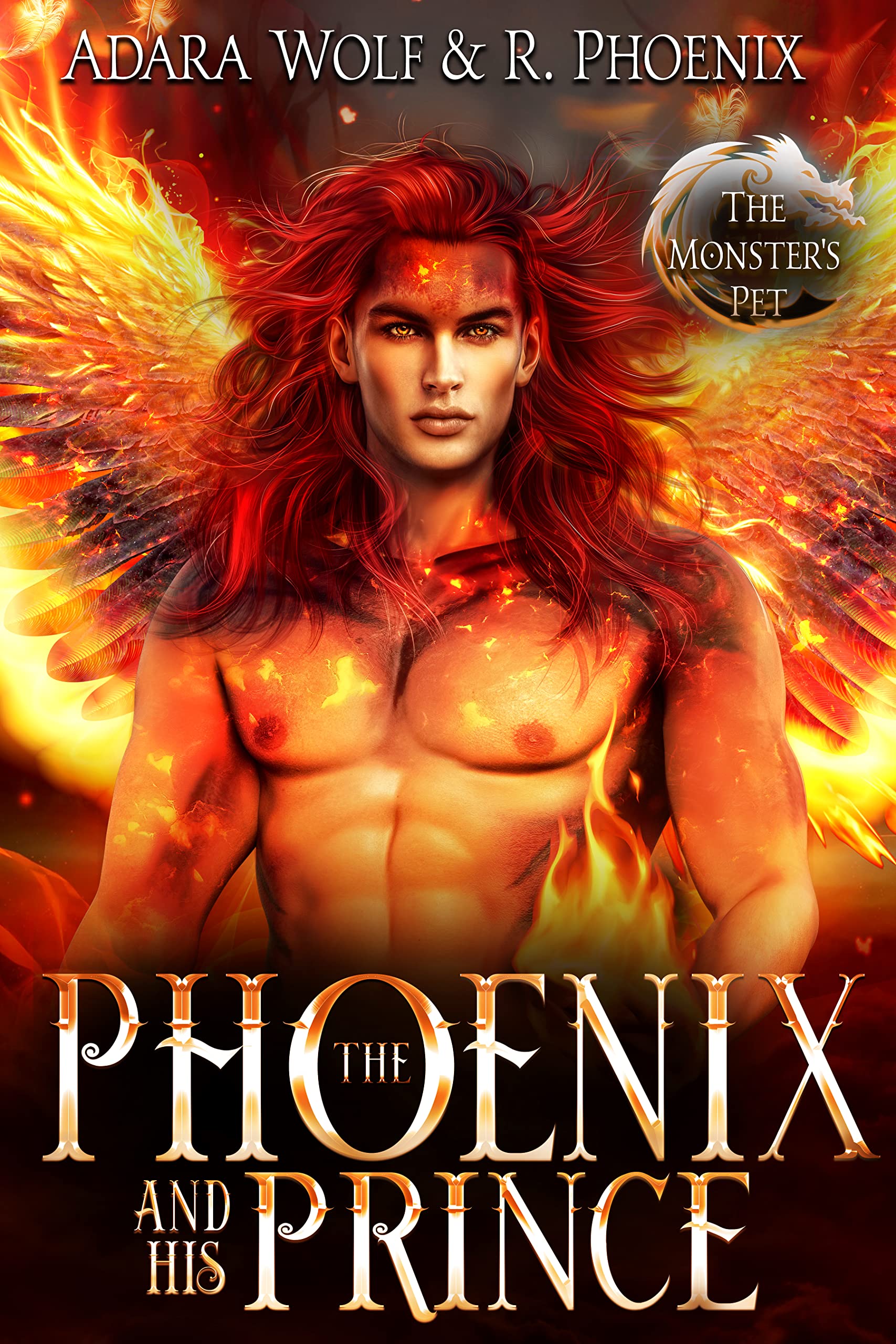The Monster's Pet book cover 1