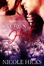 Snow's Heat book cover