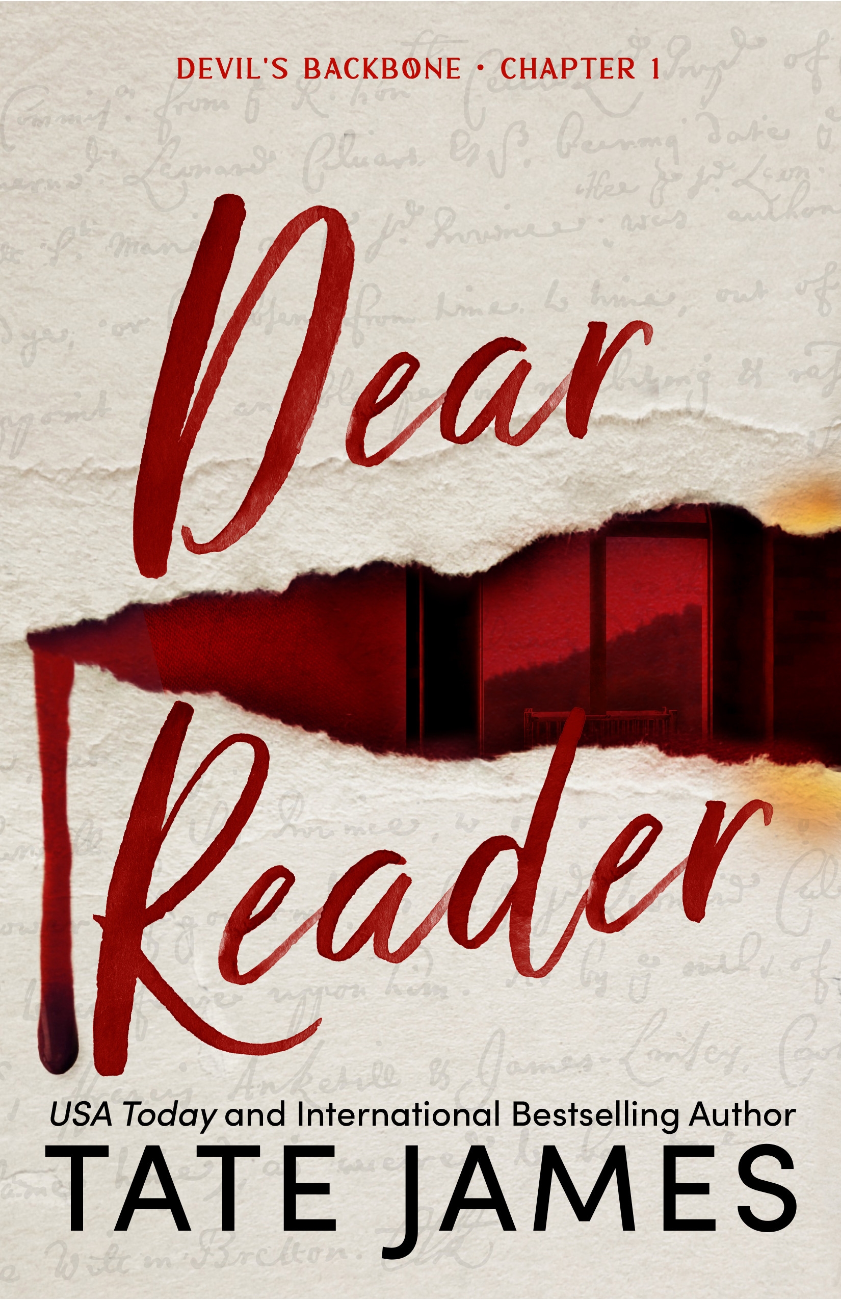 Dear Reader book cover